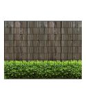 holzwand und buxus zaun sichtschutz gruen grau