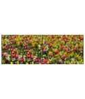 Panorama XL Blumenwiese Zaunsichtschutz