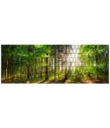 Panorama XL Waldsonne – 5,00 × 1,80 m – 18 Motivstreifen