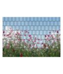 sommerblumen sichtschutz lamellen