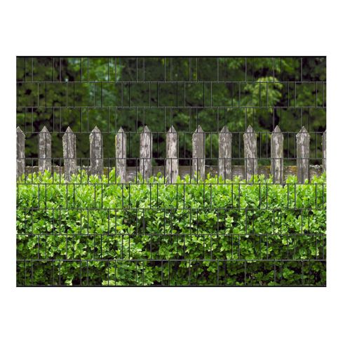 holzzaun und buxus sichtschutz