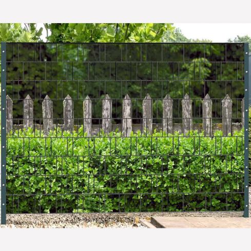 holzzaun und buxus sichtschutz