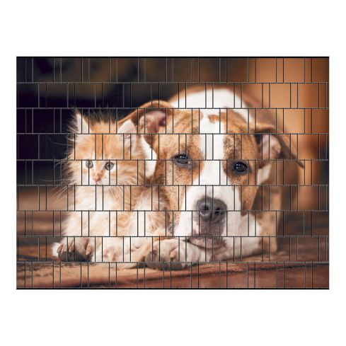 hund und katze sichtschutz rolle