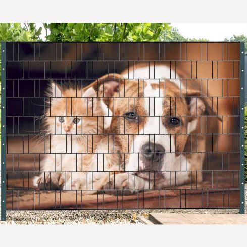 hund und katze sichtschutz rolle