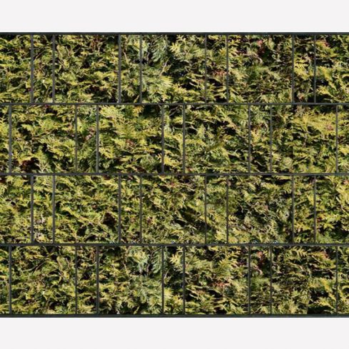 lebensbaum flechtzaun polyester flies