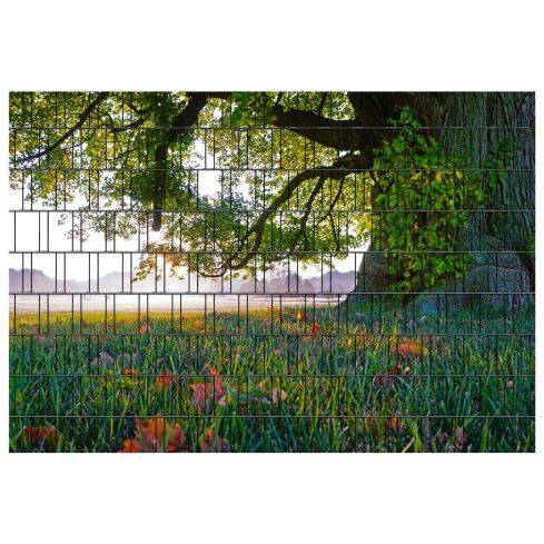 Panorama Baum 1 Zaunsichtschutz
