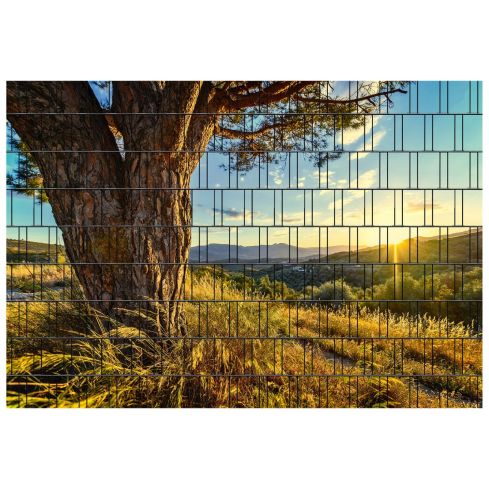 Panorama Baum 1 Zaunsichtschutz