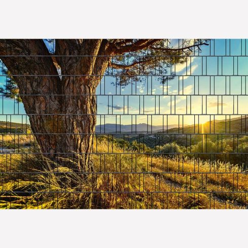 Panorama Baum 1 Zaunsichtschutz
