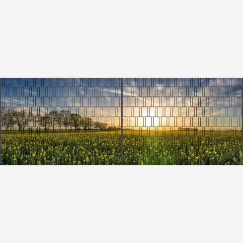 Panorama XL Sonnenuntergang 1