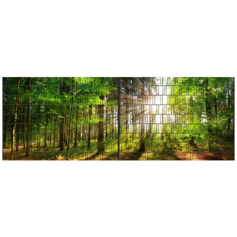 Panorama XL Waldsonne – 5,00 × 1,80 m – 18 Motivstreifen