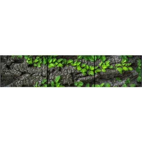 Panorama XXL Baumrinde Sichtschutz 