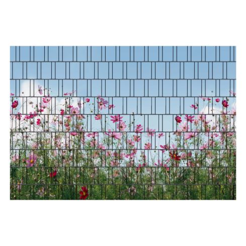 sommerblumen sichtschutz lamellen