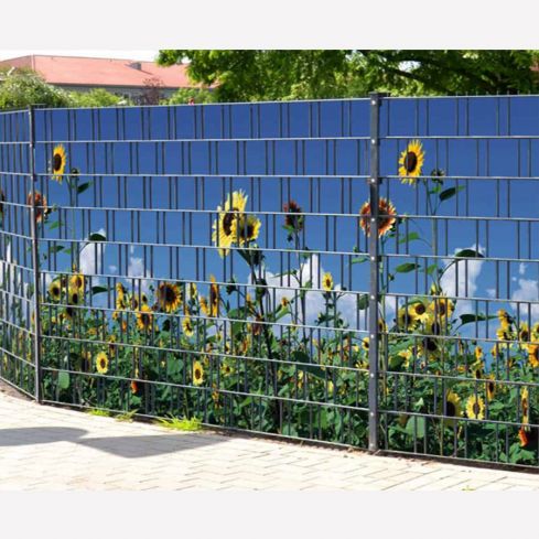 sonnenblumen sichtschutz fuer terrasse