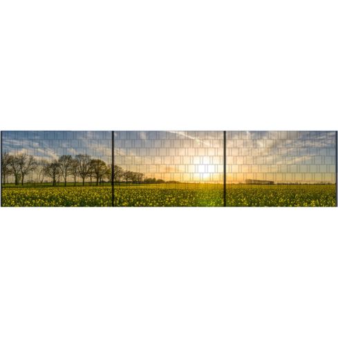 Zaunsichtschutz Panorama XXL Blumen und Sonne 